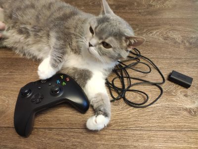 Лот: 17351542. Фото: 1. Геймпад Microsoft Xbox ONE. Аксессуары для игровых приставок, консолей, геймпады