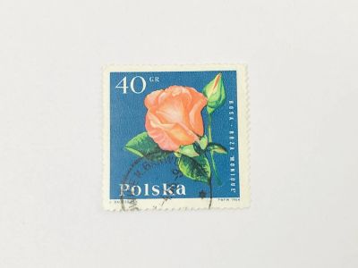 Лот: 23964407. Фото: 1. Садовые цветы. Роза Моника. Флора... Марки