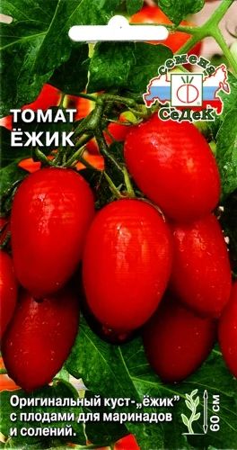 Лот: 3937249. Фото: 1. Томат (помидоры) Ежик (рассада... Другое (семена, рассада, садовые растения)