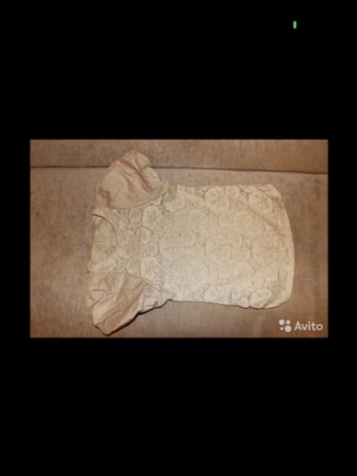 Лот: 6959749. Фото: 1. Блуза с объемными рукавами. Блузы, рубашки, водолазки