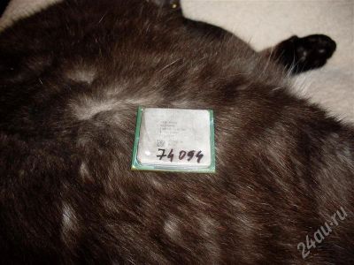 Лот: 563786. Фото: 1. Процессор Celeron 1.8/128/400. Процессоры
