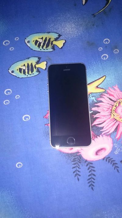 Лот: 7082821. Фото: 1. IPhone 5s новый. Смартфоны