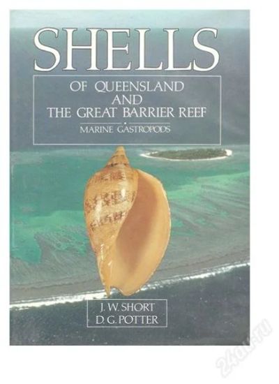 Лот: 2232481. Фото: 1. Short Potter Shells of Australia... Другое (хобби, туризм, спорт)