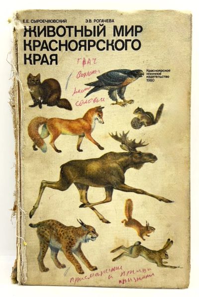 Лот: 24064136. Фото: 1. 📕 Е. Сыроечковский, Э. Рогачева... Справочники