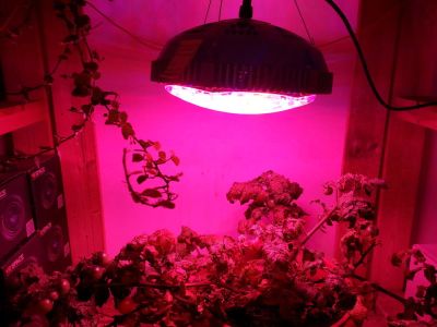 Лот: 10734914. Фото: 1. Светодиодный фитосветильник полного... Другое (садовый инструмент и инвентарь)
