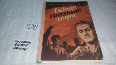 Лот: 10174748. Фото: 1. Сквозь грозные годы. Книга 1... Художественная