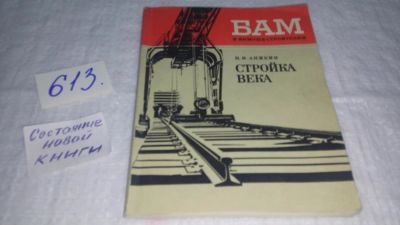 Лот: 10681546. Фото: 1. Аникин Н. И. Стройка века....В... Художественная