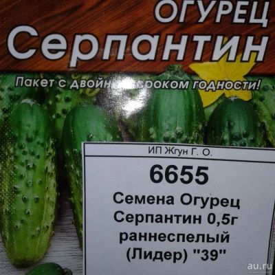 Лот: 9122723. Фото: 1. Семена / овощи / Огурец / Серпантин... Овощи