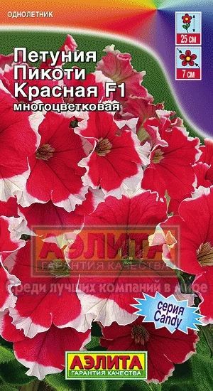 Лот: 3987528. Фото: 1. Петуния многоцветковая Пикоти... Другое (семена, рассада, садовые растения)