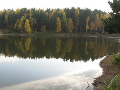 Лот: 1729723. Фото: 1. Земельный участок, район Зверосовхоза... Земельные участки