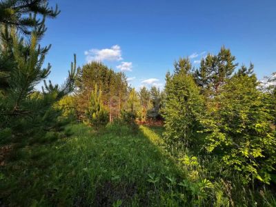 Лот: 25605365. Фото: 1. участок , посёлок Манский Скалистая... Земельные участки
