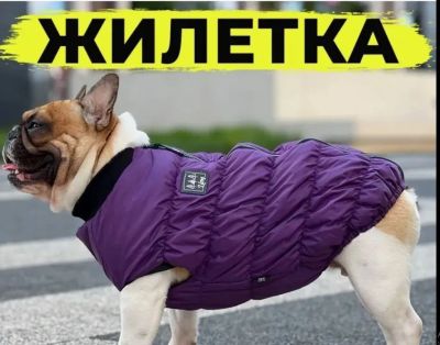 Лот: 25403720. Фото: 1. Жилет для собак водонепроницаемый... Ошейники, одежда, конное снаряжение