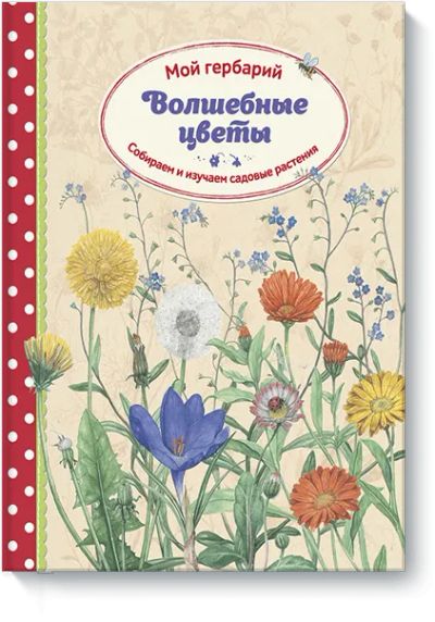 Лот: 24461211. Фото: 1. Волшебные цветы. Мой гербарий. Художественная для детей