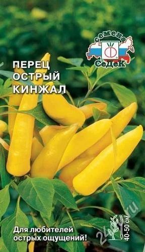 Лот: 2632446. Фото: 1. Перец острый Кинжал. Горшечные растения и комнатные цветы