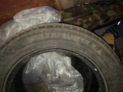 Лот: 14831515. Фото: 1. Nokian hakkapeliitta 7. Шины