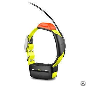 Лот: 15892910. Фото: 1. Собачий ошейник Garmin T5. GPS-навигаторы