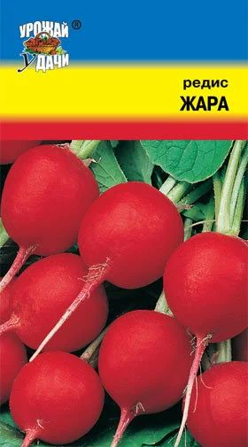 Лот: 11004124. Фото: 1. Семена редиса "Жара" - ранний... Овощи