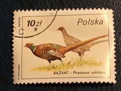 Лот: 24887977. Фото: 1. - Марки для Вашей коллекции. лот... Марки