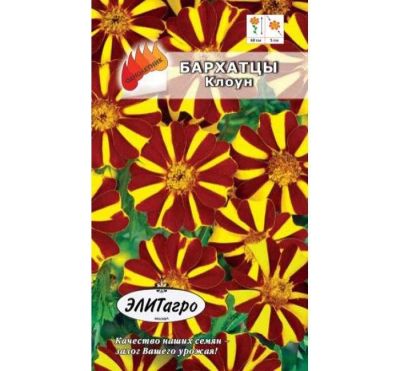 Лот: 11024223. Фото: 1. Бархатцы Клоун пестрые откл. 0... Садовые цветы