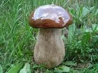 Лот: 997955. Фото: 1. Гриб №5. Другое (для дачи, дома, огорода, бани, парка)