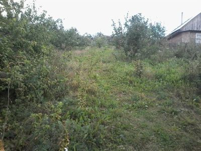 Лот: 3038477. Фото: 1. участок кузнецовское плато на... Земельные участки
