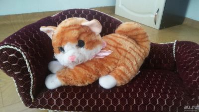 Лот: 9575654. Фото: 1. кот рыжий с большими синими глазами. Мягкие
