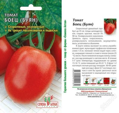 Лот: 928009. Фото: 1. рассада томат БУЯН высота до 50см... Другое (семена, рассада, садовые растения)