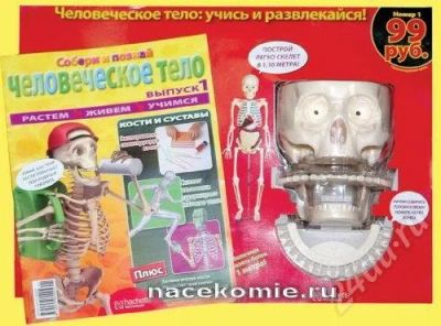 Лот: 498725. Фото: 1. Человеческое тело - скелетик Артемка... Развивающие