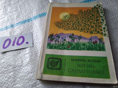 Лот: 18060321. Фото: 1. Копанева, Л.М.; Стебаев, И.В... Биологические науки