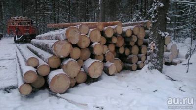 Лот: 13056059. Фото: 1. Лес на корню. Древесина, пиломатериал