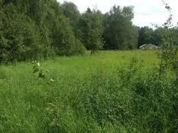 Лот: 10864596. Фото: 1. земельный участок Элита. Земельные участки