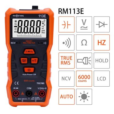 Лот: 14327988. Фото: 1. мультиметр Richmeters RM113E. Радиолюбительский инструмент
