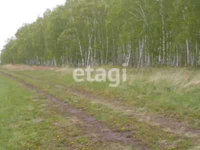 Лот: 25293172. Фото: 1. участок , село Дрокино село Дрокино... Земельные участки