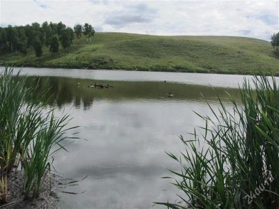 Лот: 1541468. Фото: 1. Продам участок, 15 минут от города... Земельные участки