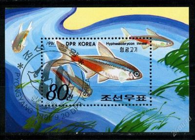 Лот: 2228813. Фото: 1. корея 1991 фауна блок. Марки