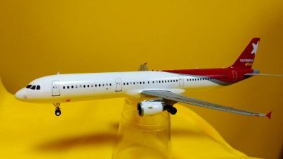 Лот: 7801600. Фото: 1. Модель самолета А-321, Б-787. Авиамоделизм