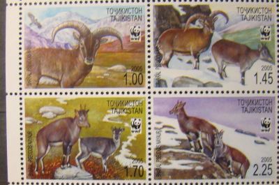 Лот: 10443308. Фото: 1. Таджикистан 2005 пс сц MNH. Марки