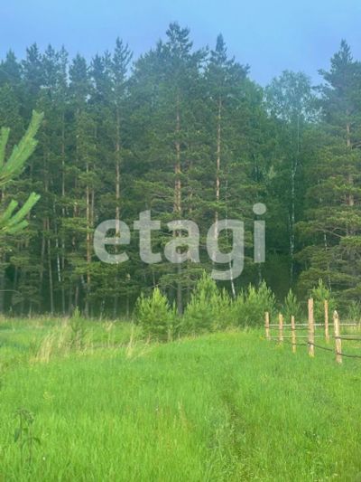 Лот: 25296824. Фото: 1. участок , посёлок Манский посёлок... Земельные участки