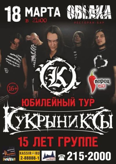 Лот: 3843771. Фото: 1. билет на группу "Кукрыниксы... Развлечения, мероприятия
