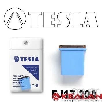 Лот: 8599063. Фото: 1. TESLA FJ17 20A предохранитель... Расходные материалы