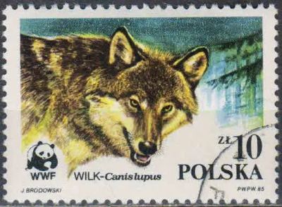 Лот: 25055823. Фото: 1. 1985. Польша. Охраняемые животные... Марки