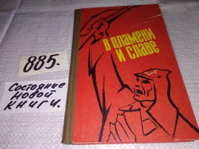 Лот: 13475516. Фото: 1. В пламени и славе, Навсегда вписаны... История