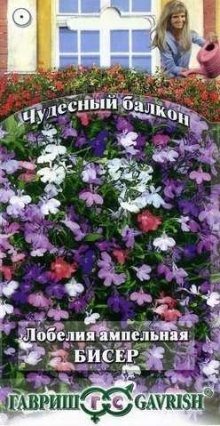 Лот: 11025420. Фото: 1. Лобелия ампельная Бисер*, смесь... Садовые цветы