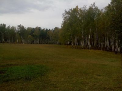 Лот: 10460533. Фото: 1. Участок за Емельяновской горкой. Земельные участки