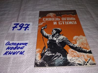 Лот: 13561932. Фото: 1. Сквозь огонь и стужу, И.А. Нурмухаметов... Художественная