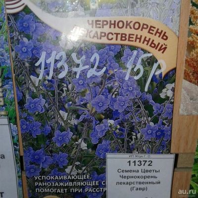 Лот: 9118656. Фото: 1. Семена / Цветы / Чернокорень... Садовые цветы