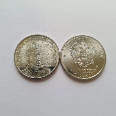 Лот: 24251574. Фото: 1. 25 рублей 2024 года. Ёжик в тумане... Россия после 1991 года
