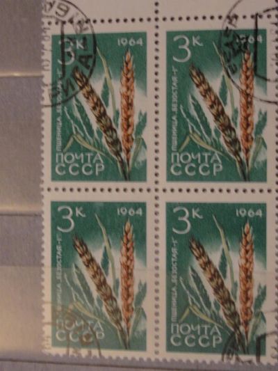 Лот: 4409103. Фото: 1. Квартблок 1964 год. Пшеница "безостая-1... Марки