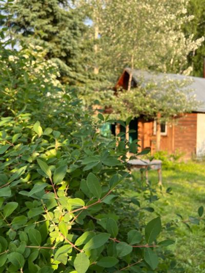 Лот: 25524603. Фото: 1. Дача в Красноярске — участок земли... Дачи