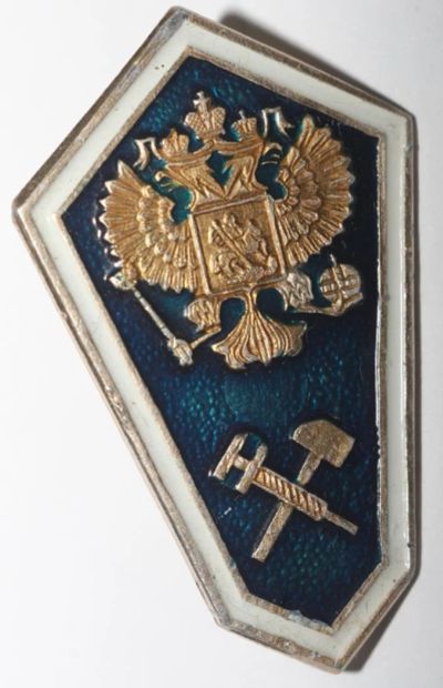 Лот: 10816596. Фото: 1. Знак ромб (поплавок) - Выпускник... Другое (значки, медали, жетоны)